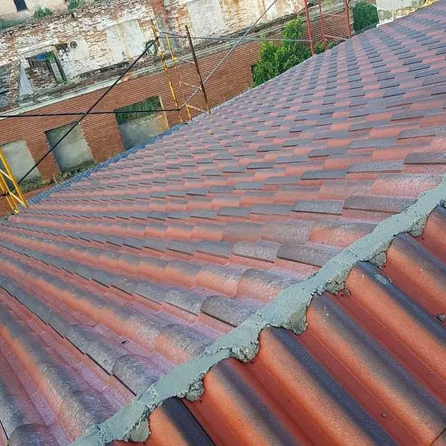 Trabajos Verticales Benagón reparación de tejados